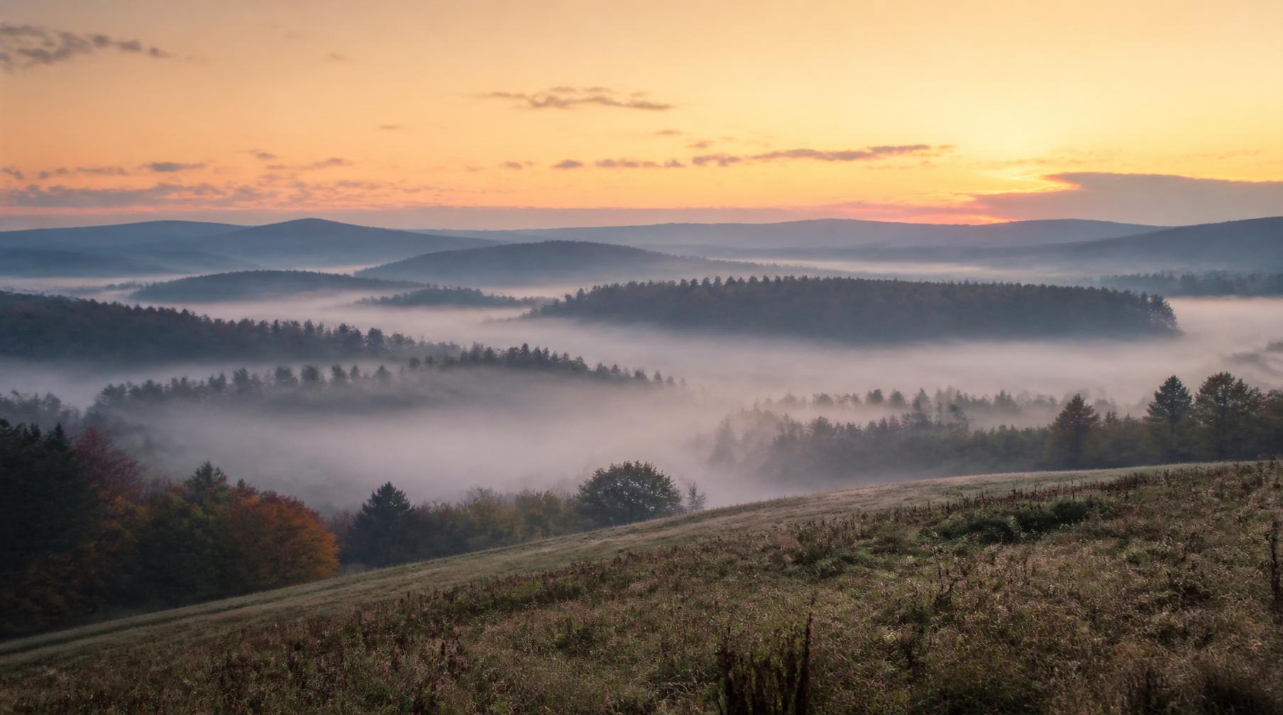 A misty landscape at dawn